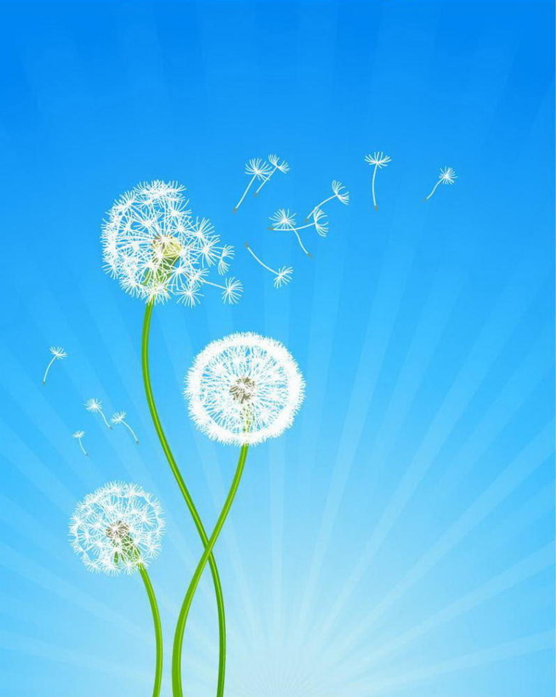 风,它贯穿着我们的一生,一生的顺境和逆境