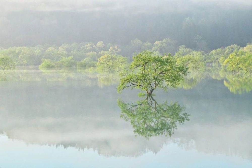 只有春季才能欣赏到的山形县绝景 看点快报