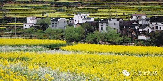 上海的农村户口究竟值多少钱?看完惊呆了!