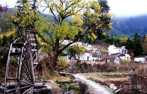 上海的农村户口究竟值多少钱?看完惊呆了!