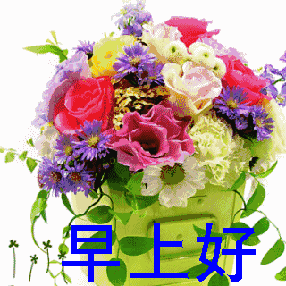 问候早上好的语言图片 微信早晨好表情动图