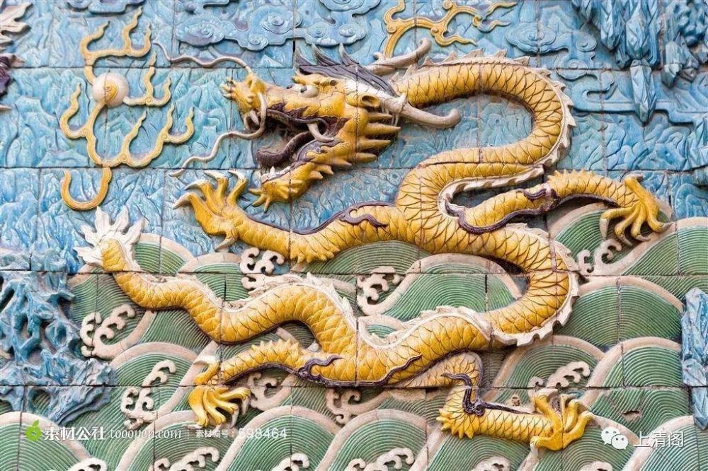 中华神龙的种类