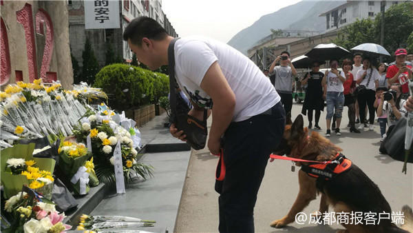 地震中救出15人的功勋搜救犬重回北川和主人一起向遇难者献花 看点快报