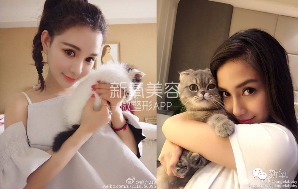 整成Angelababy的网红们，简直傻傻分不清