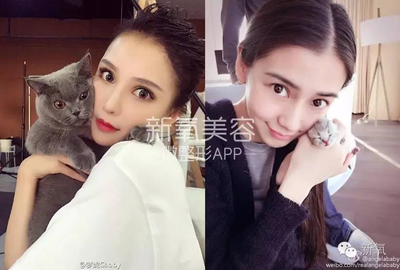 整成Angelababy的网红们，简直傻傻分不清