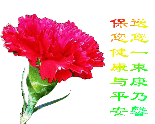 手把我们抚养长大 【节】 日到来祝愿您幸福 【快】 为母亲们送去祝福