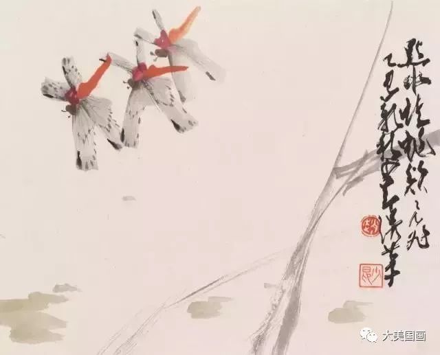 赵少昂,花鸟画,国画