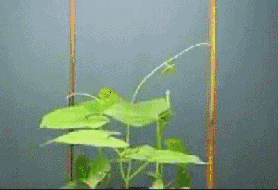 130张炫酷动图,让你秒懂高中物理化学生物所有原理!