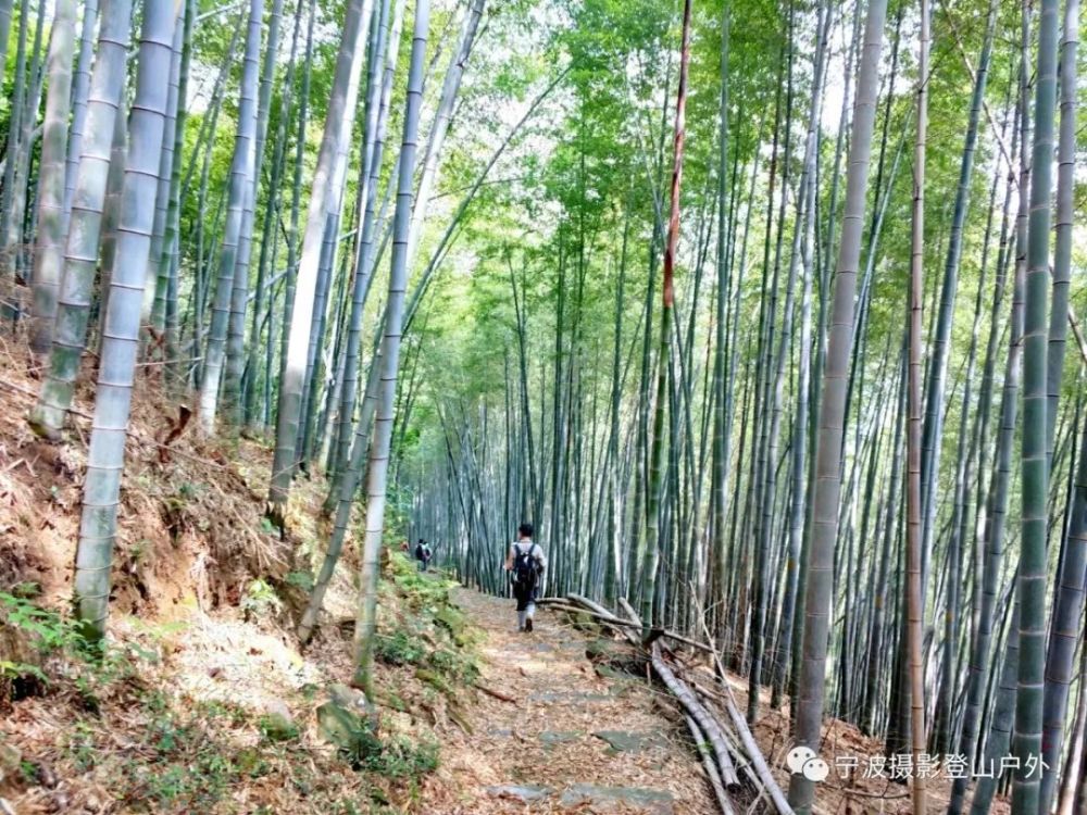 柘岭古道,爱中至上半山的古道,全长约1.