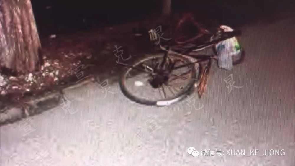 沪女司机无证驾驶撞死人 2年后获驾照再撞死人