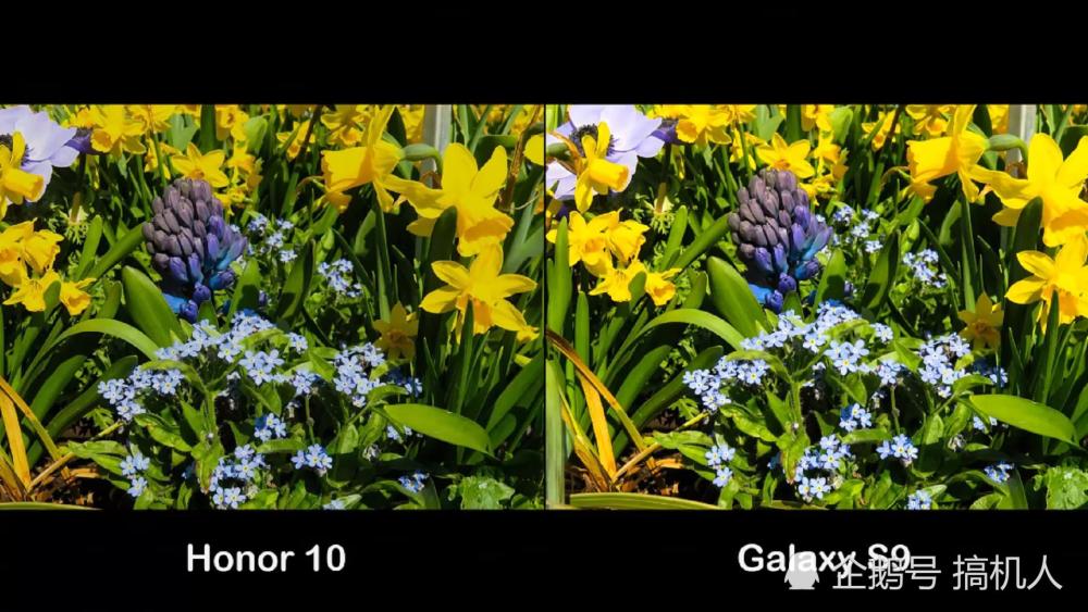 华为荣耀10单挑三星S9:9组对比图看出拍照的