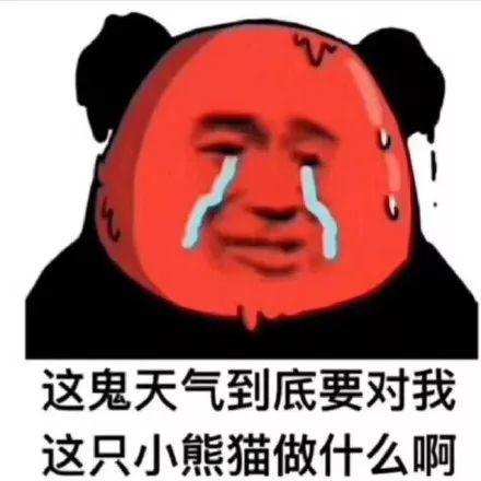 天气热到变形重影表情包 记仇日记没用冰基宁