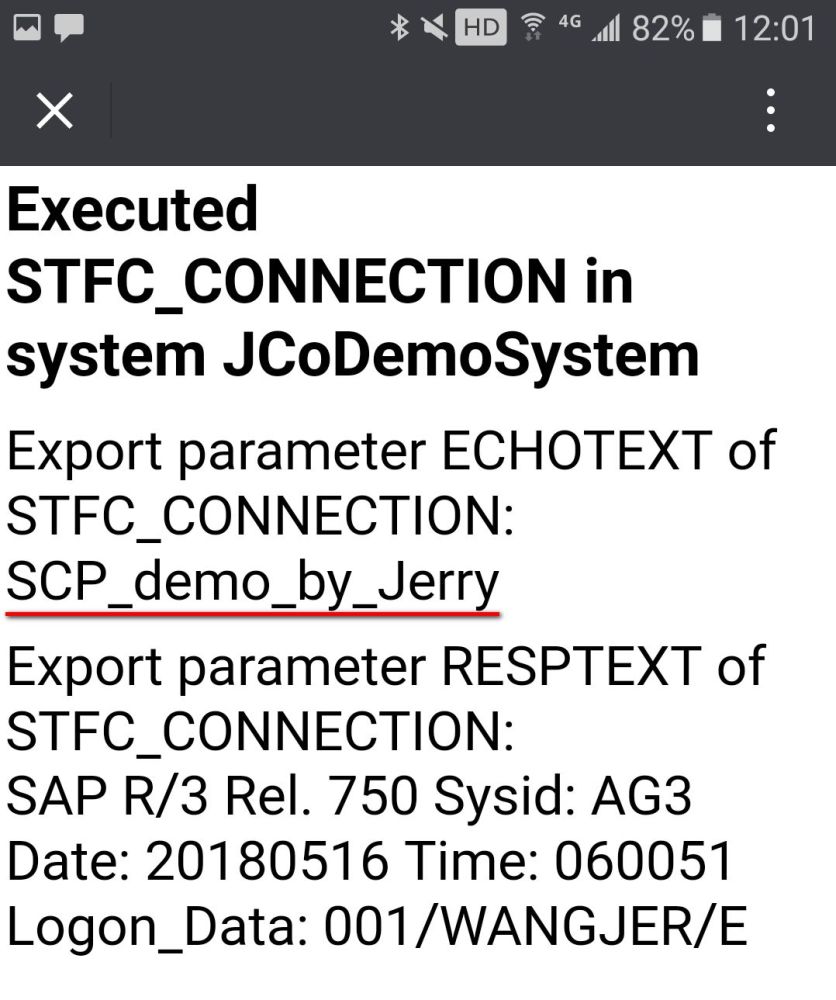 使用Java+SAP云平台+SAP Cloud Connector调