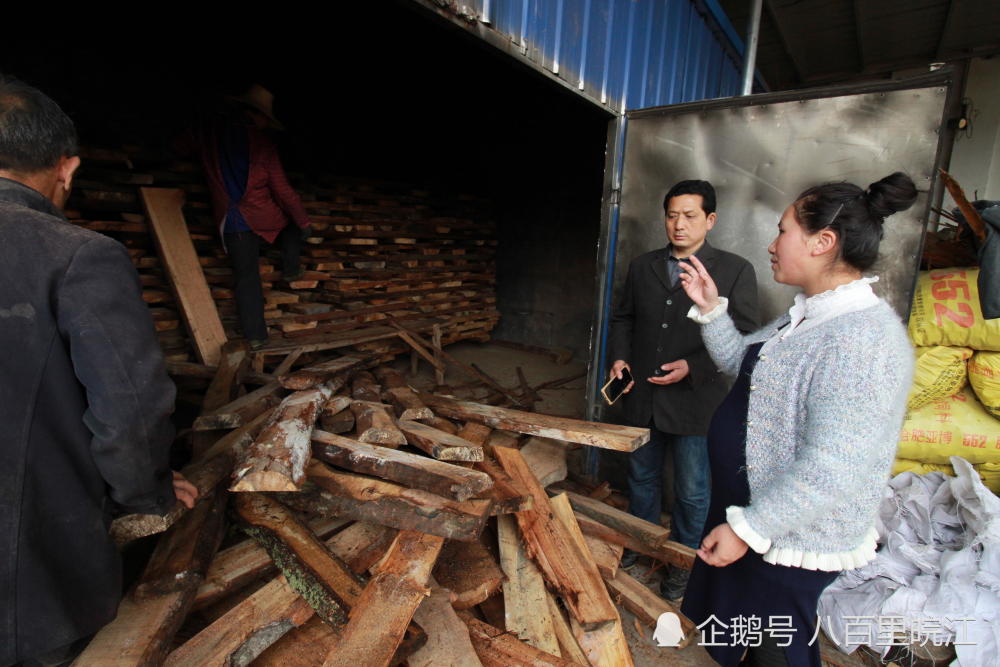 英语老师放弃都市20万年薪 回乡捣鼓枯树枝年