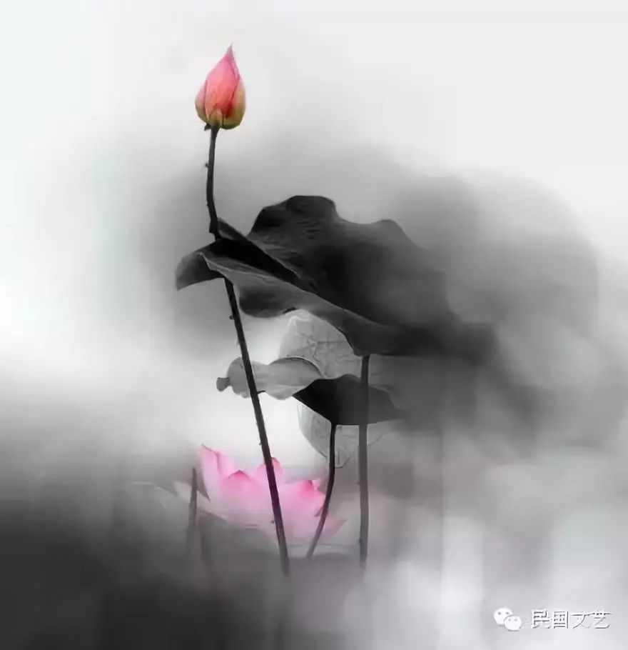 人生有三种境界,最高一层:看山还是山,看水还是