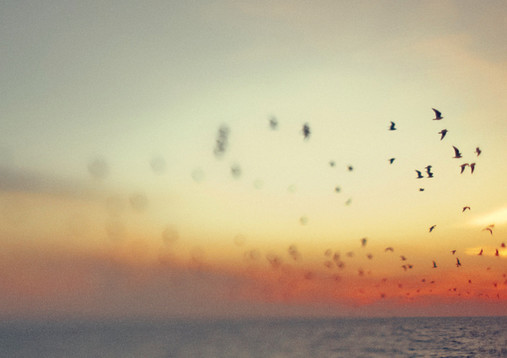 沪9000元工资一半交房租 辞职也救不了 少爷病