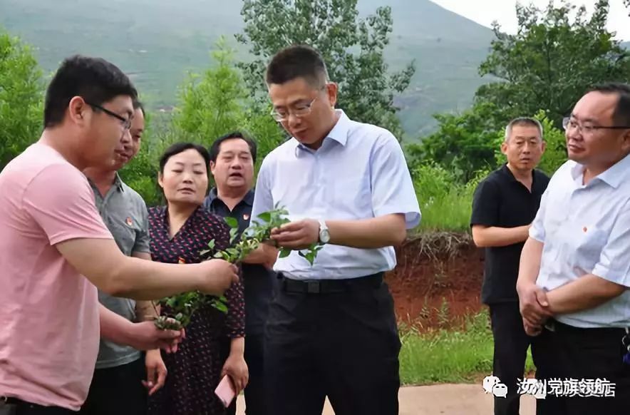 副县级干部,市交通局局长李应席,市政府党组成员,市委群工部长朱新正