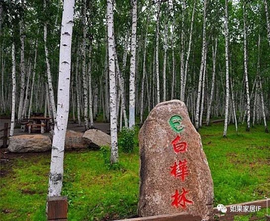 呼伦贝尔大草原姐妹之旅 看点快报