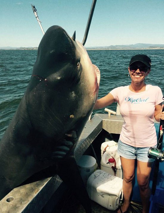澳洲情侣捕获200公斤公牛鲨