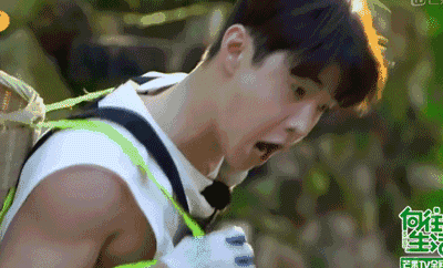 宋丹丹两次说错话,让刘宪华出演赵宝刚新剧机会泡汤,王珞丹四字力挽