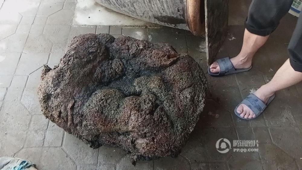 村民 发现80公斤太岁  希望换钱讨媳妇_腾讯网触