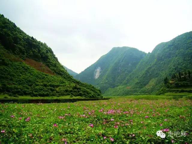 不必黄鹤楼，不必武大樱花，湖北这25处美景地，你去过多少？