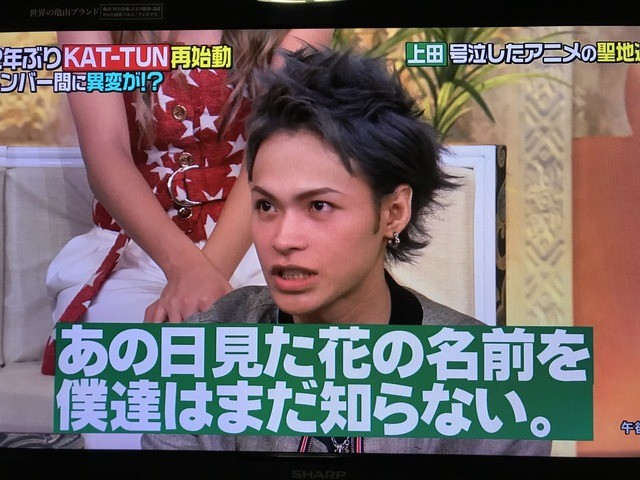 上田龙也与本乡奏多去《未闻花名》圣地巡礼