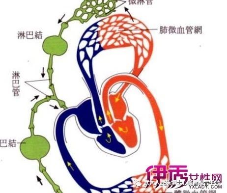 左心衰典型症状 夜间阵发性憋气或逐渐加重的活动时喘气 看点快报