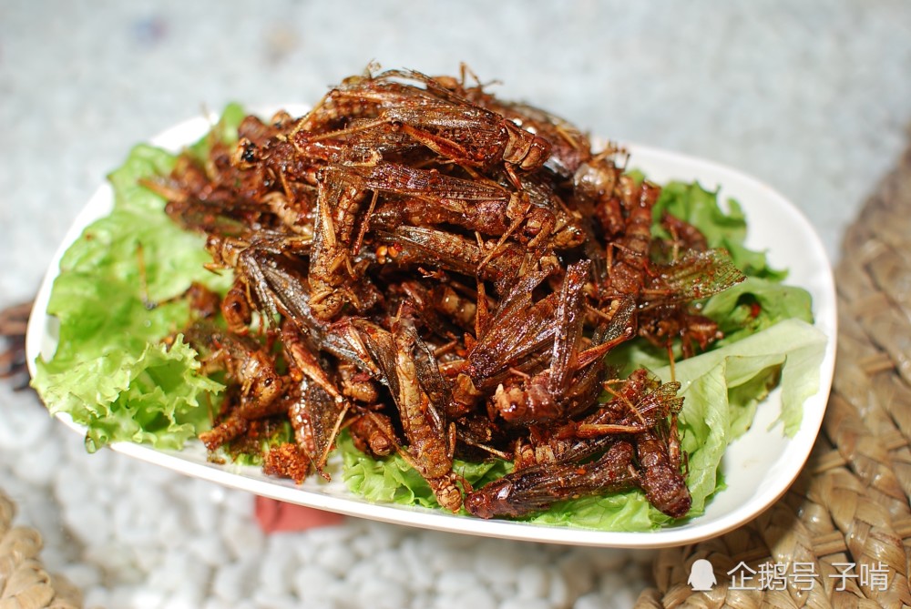 西安夜市烧烤特别重口味炸蝗虫卖的比肉还贵-天天快报