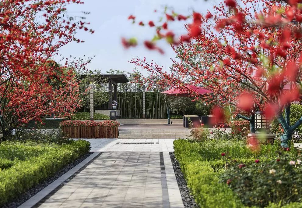 盘点!大江东地铁7、8号线沿线楼盘,二手均价最