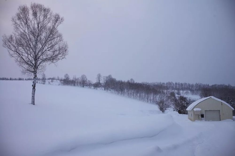 对话蕾拉小姐:只有时间知道,这个环游世界的女