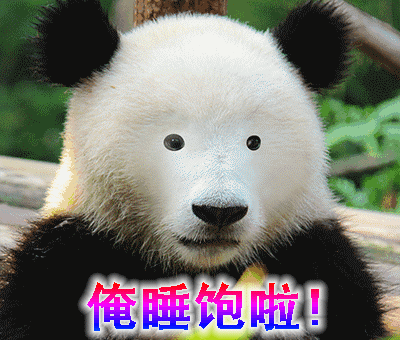 国宝熊猫的动图表情包太可爱啦,看着都想笑