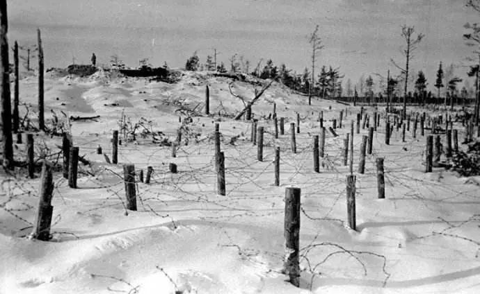 芬兰电影《无名战士》:这部成年人电影,希望