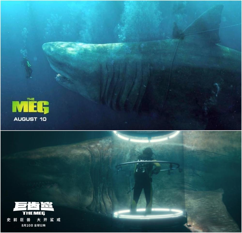 《巨齿鲨》曝新画面,超大史前巨鲨,却被人类猎捕