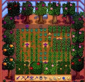 《星露谷物语》温室种植该如何布局