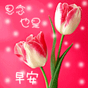 最新漂亮早上好问候图片鲜花带字 最美早安问候动态图片带字