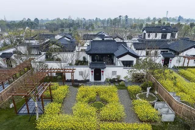 多利农庄,成都,经营性建设用地,乡村,农村,田园综合体