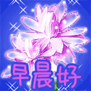 最新漂亮早上好问候图片鲜花带字 最美早安问候动态图片带字