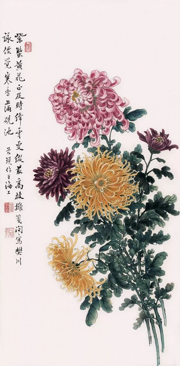 画菊专家的菊花与他的百花图集