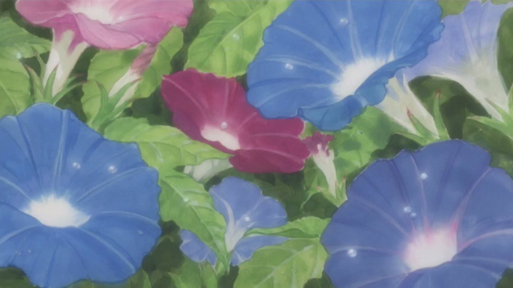 《牵牛花与加濑同学》OVA公布新画面