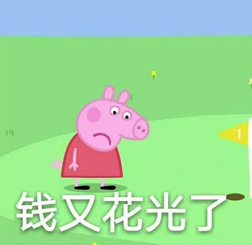 表情包 钱包没钱用