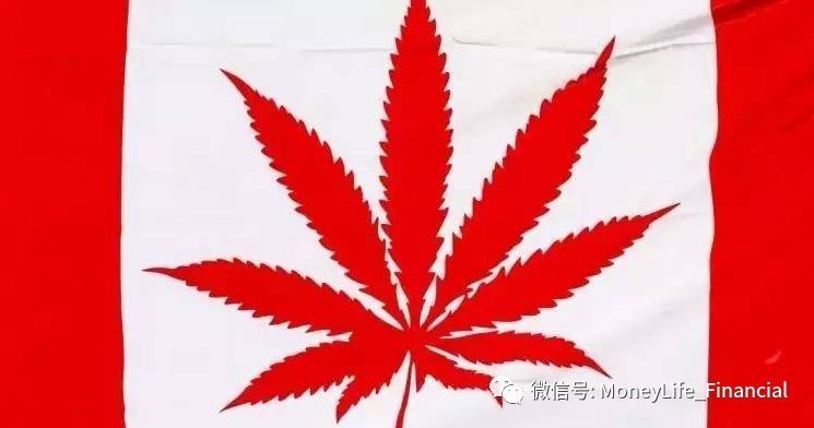 大麻合法化不等于可以随心所欲地吸大麻 看点快报