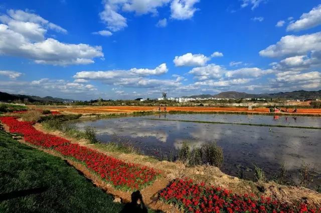 的发源地 惠水好花红村