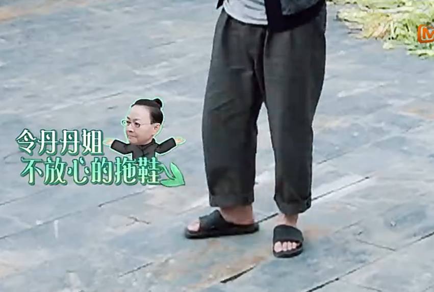 宋丹丹4次吐槽嫌弃黄磊,理由一次比一次扎心,