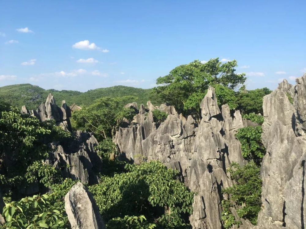 神剑石林旅游景区旅游特点是玻璃栈道,湿地公园,瀑布.