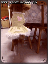 搞笑gif动图:有钱什么都好说