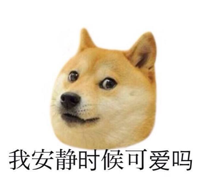 秋田犬半夜狂吠 惊到邻居脑溢血 看来是该好好反省了 秋田犬 浩然生活网