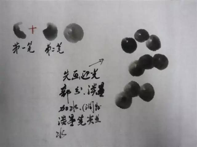 技法篇——国画写意葡萄步骤画法