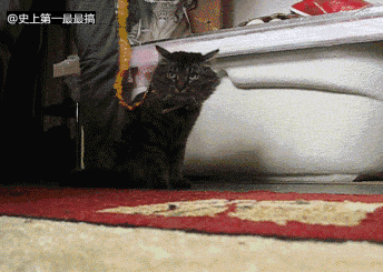 每日gif:妹子的事业一片光明啊