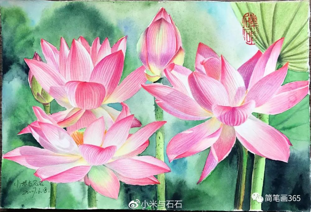 彩铅画荷花 简笔画大全